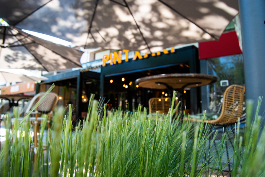 La mejor terraza verano Pozuelo es Pintxaki